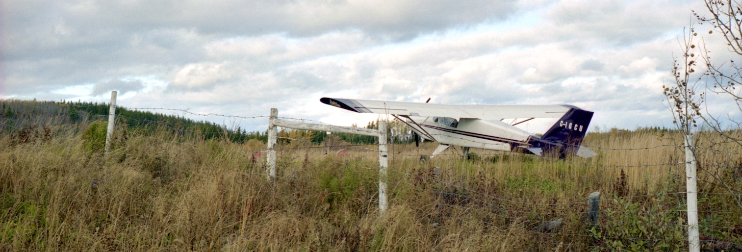 Small airplane in tall grass and weeds.