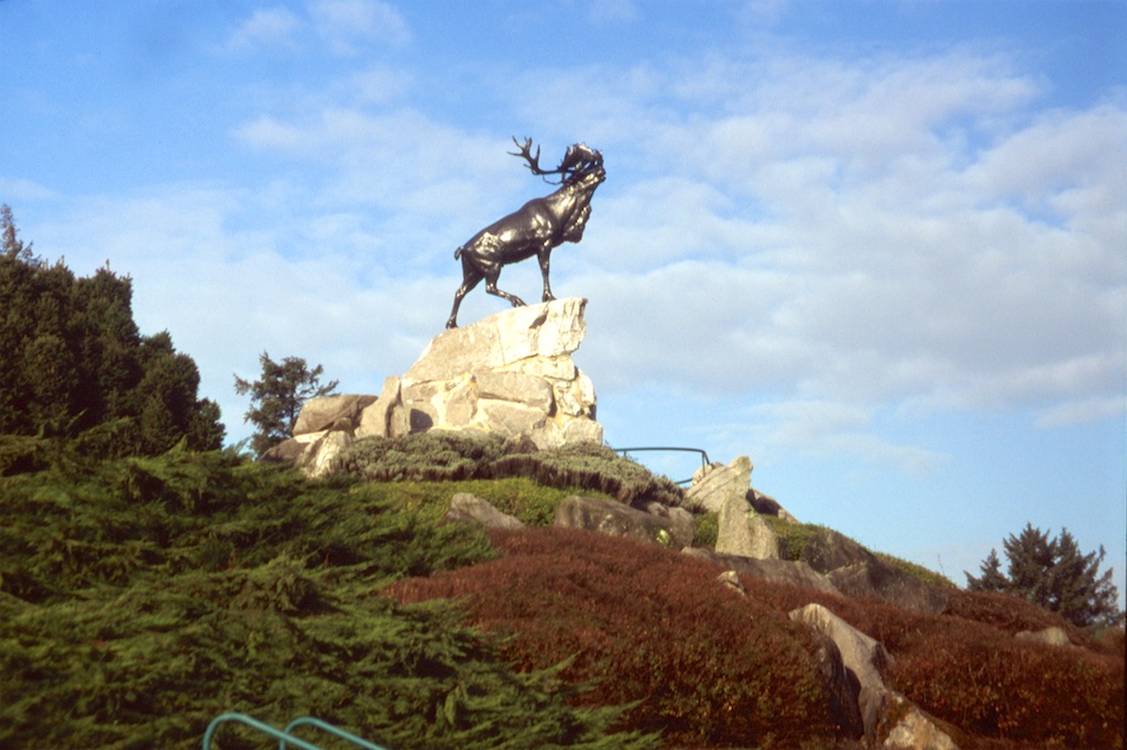 View looking up a hill at a caribou statue.
