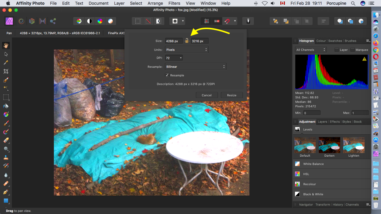 Screenshot