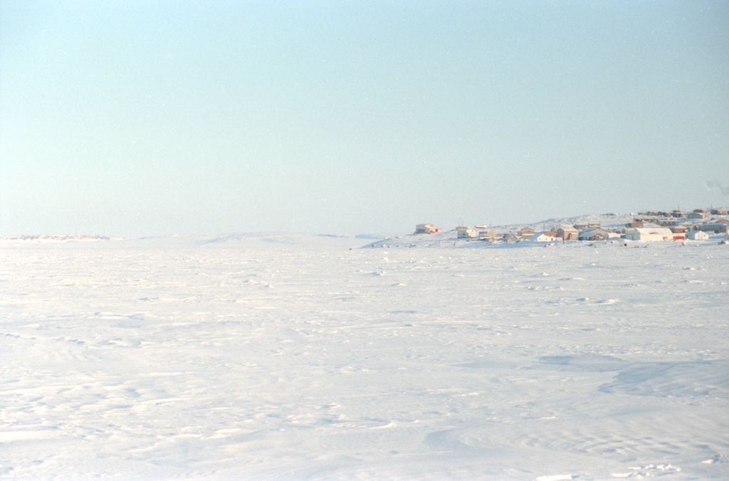 scanD0019
