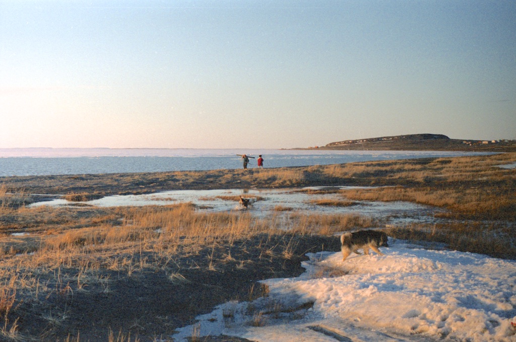 scanD0123