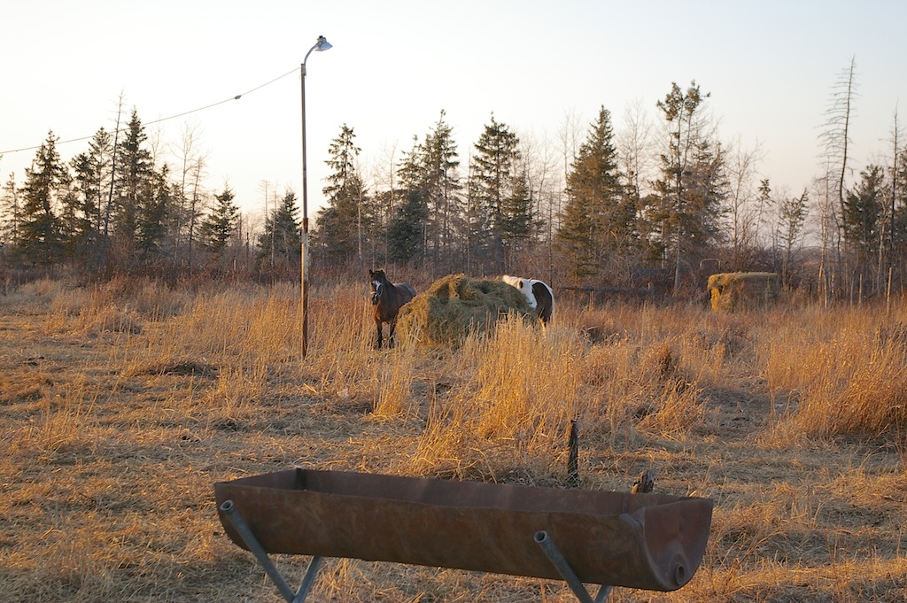 IMGP0259