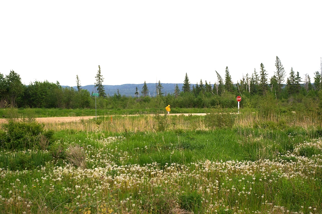 IMGP0505