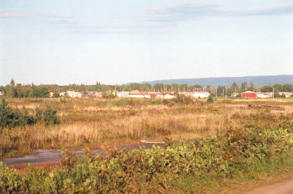 abyz0156