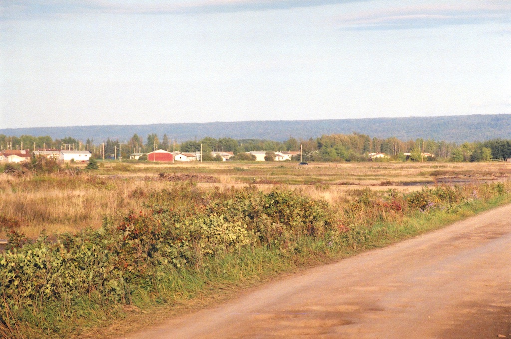 abyz0157