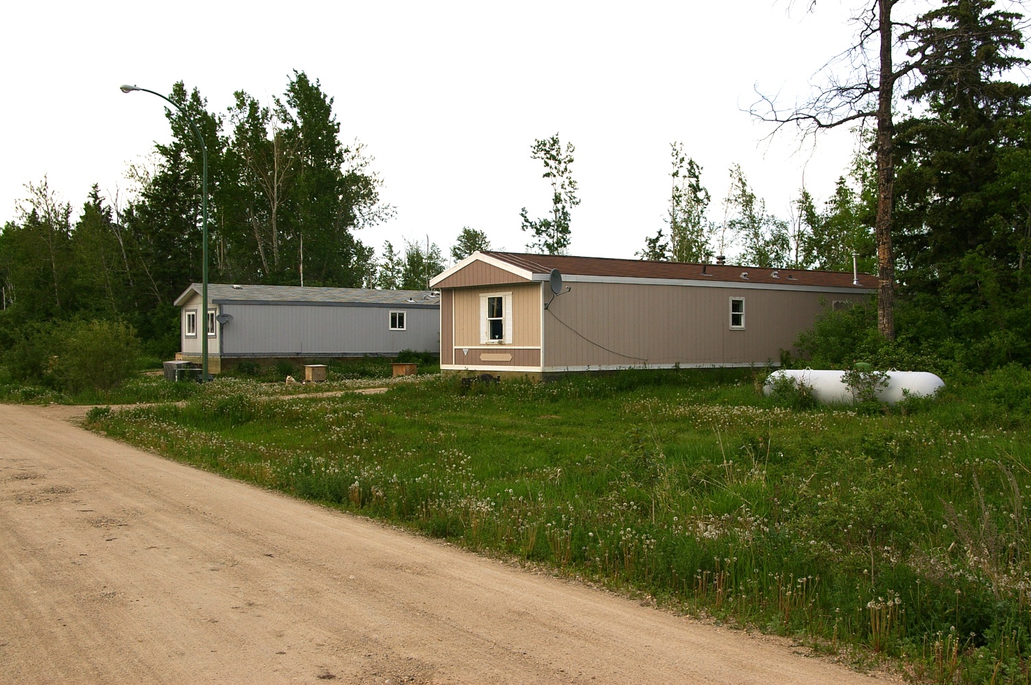 IMGP0506