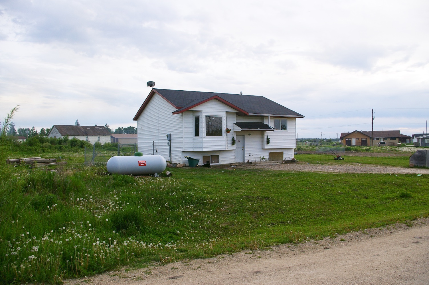 IMGP0515