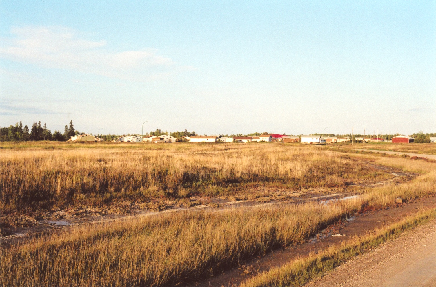 abyz0140