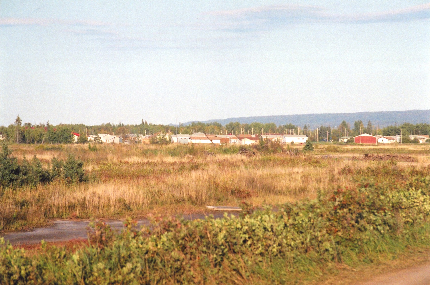 abyz0156