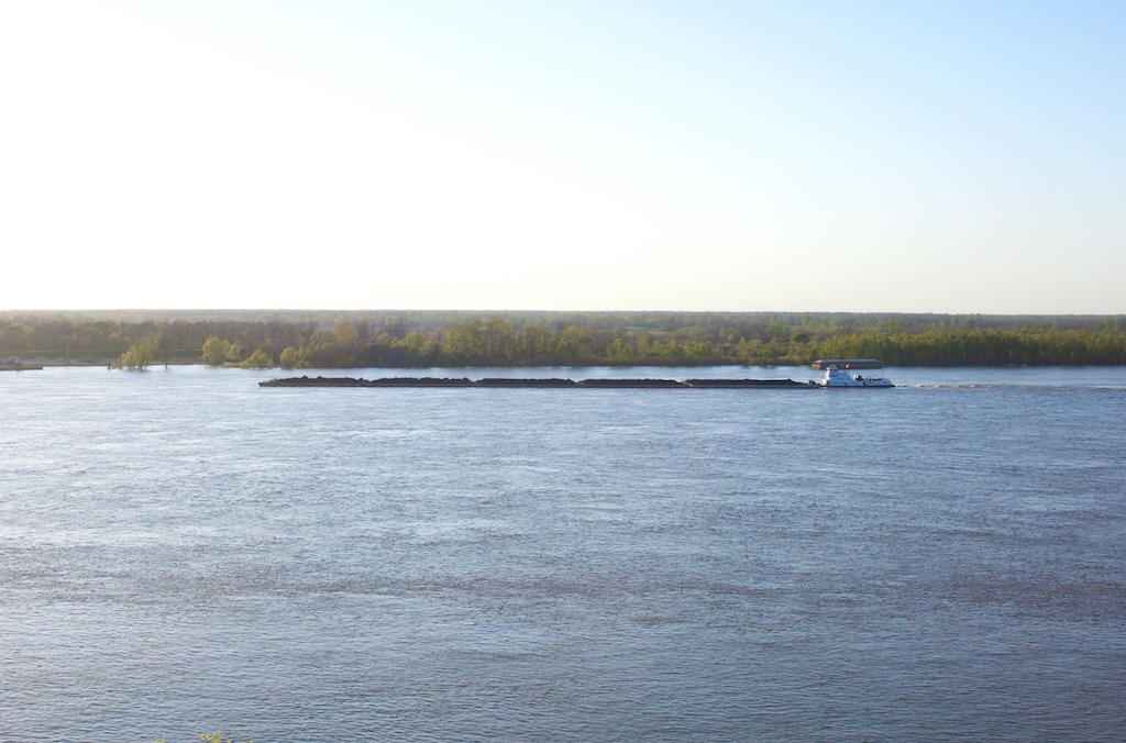 IMGP0146