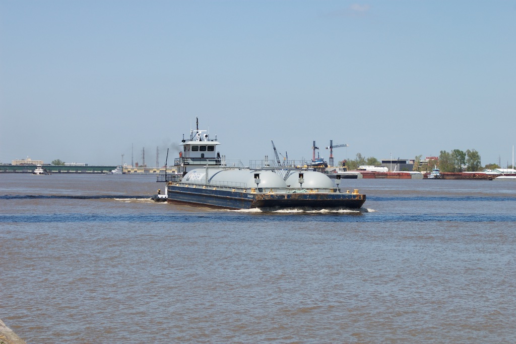 IMGP0155
