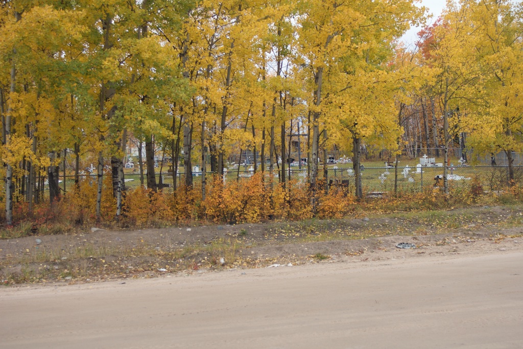 IMGP0758