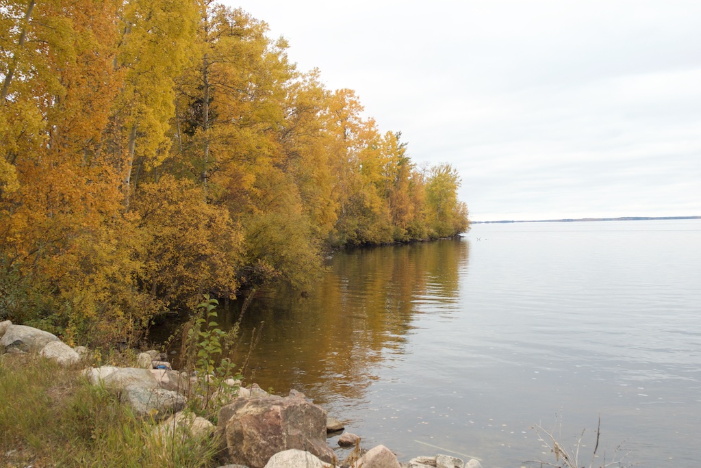 IMGP0767