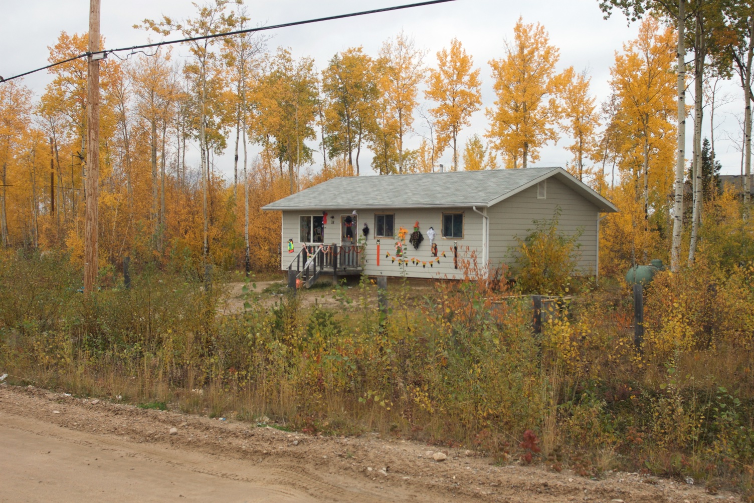 IMGP0681