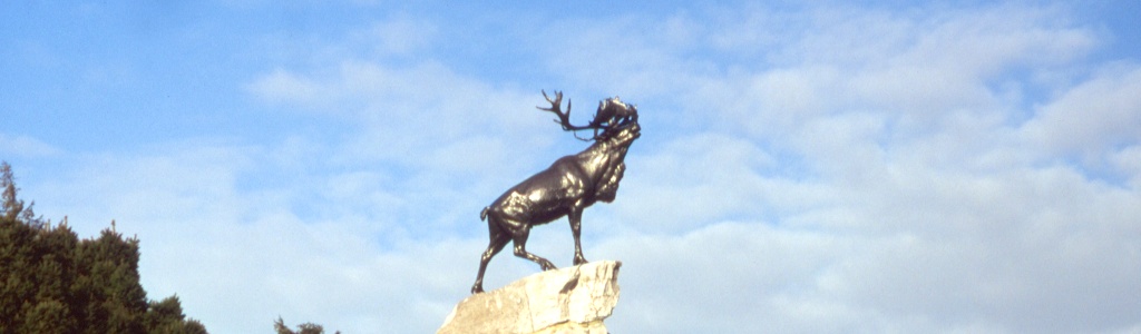 caribou statue